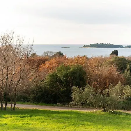 Apartments Pilicari (Adults Only) Rovinj Exterior photo